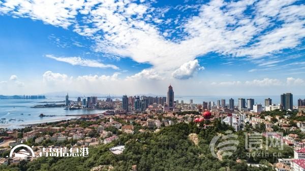 全力优化体育营商环境 青岛擦亮体育名城金字招牌