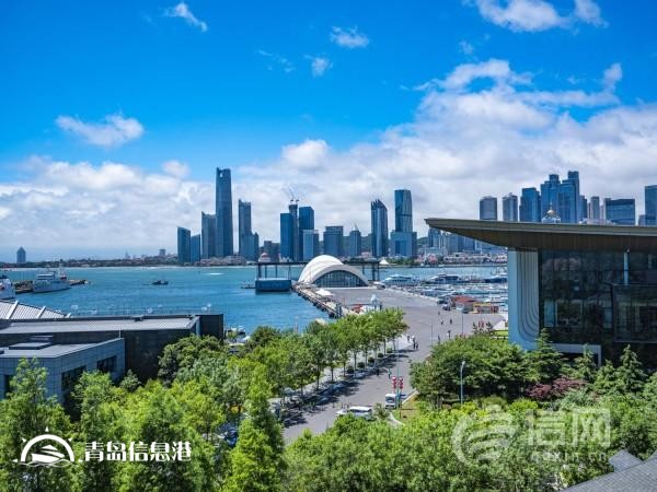 全力优化体育营商环境 青岛擦亮体育名城金字招牌