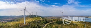 青岛国际种都核心区构建种业高地 即墨区助推青岛建设农业强市