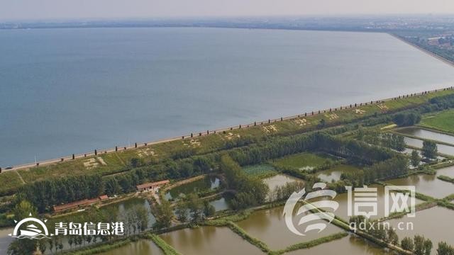 信号山：解淡水之渴 一张“大水网”正在青岛绘就