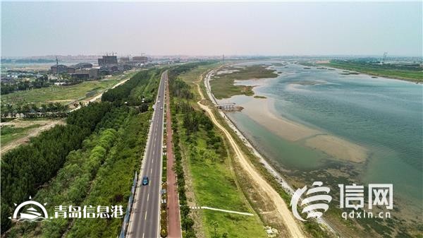 信号山：解淡水之渴 一张“大水网”正在青岛绘就