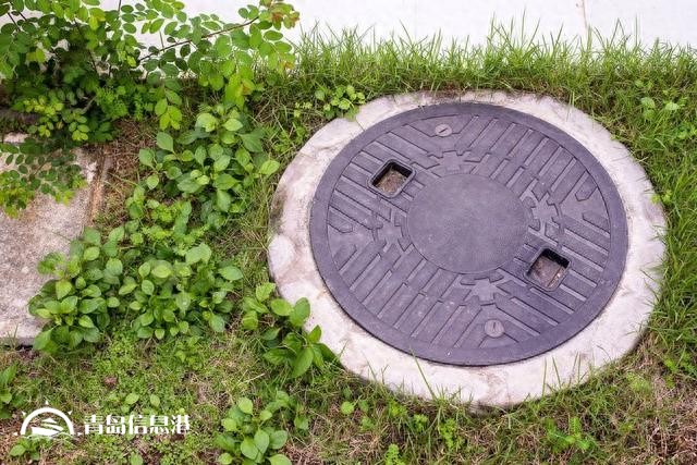 假如“信网不信访”的阮主任举报内容属实，对人民的伤害有哪些？