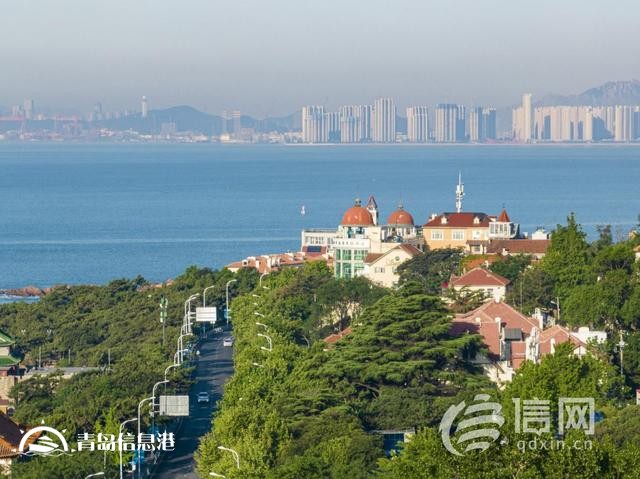 瞄准企业发展痛点难点 青岛打造全市服务企业统一平台