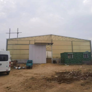 李园街道综合行政执法中队：拆违建消隐患 安民心保稳定