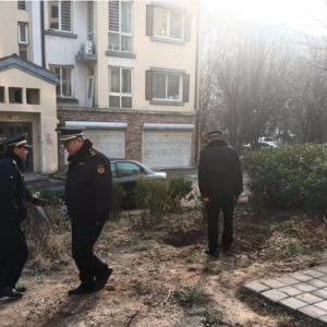 平度市东阁街道执法中队集中整治占绿毁绿，营造整洁、美好的人居环境 ...