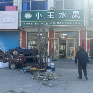 节后市容秩序整治 持续提升镇容镇貌