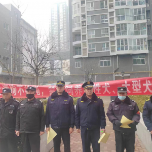 李园街道综合行政执法中队：加强犬只管理，营造和谐氛围