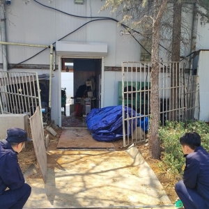 平度市东阁街道执法中队：随意损坏植被，罚