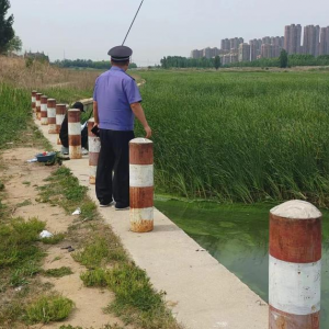 守护水域生态：凤台执法中队打击非法捕捞