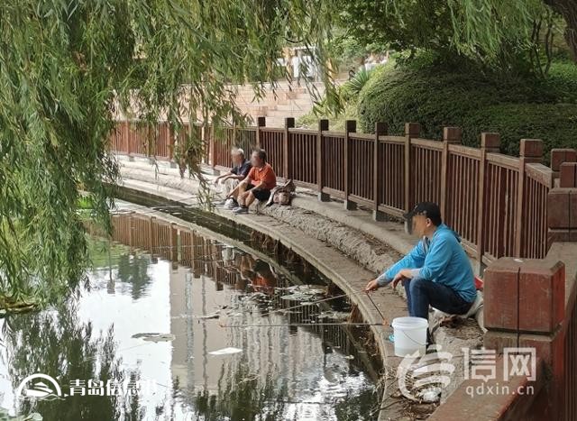 浮山后锦鲤湖栏杆破损 工作人员将加强巡视劝离垂钓者