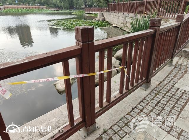浮山后锦鲤湖栏杆破损 工作人员将加强巡视劝离垂钓者