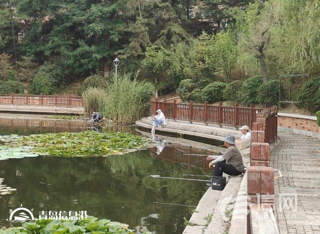 浮山后锦鲤湖栏杆破损 工作人员将加强巡视劝离垂钓者