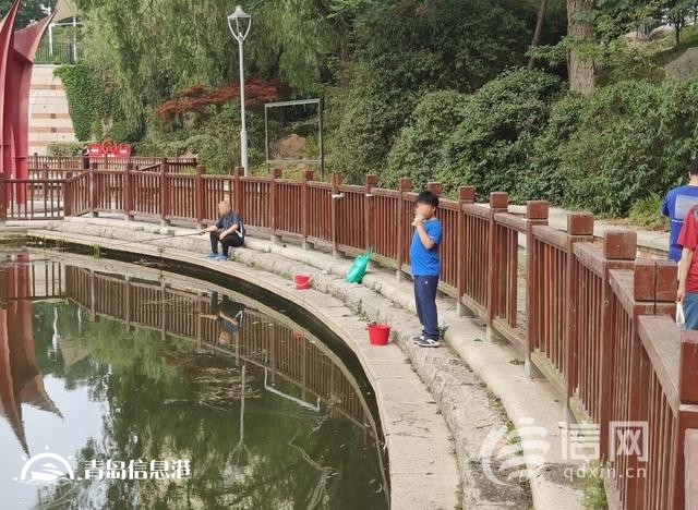 浮山后锦鲤湖栏杆破损 工作人员将加强巡视劝离垂钓者