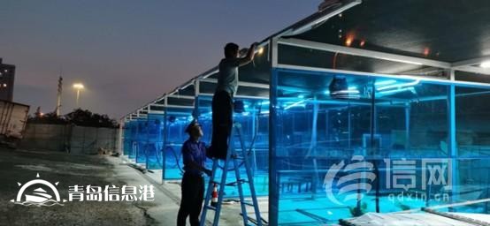 宁夏路街道着手违建拆除行动 积极推动城市更新进程