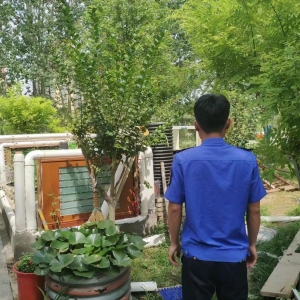 平度市东阁街道执法中队拆违再发力，积极推动城市更新进程 ...