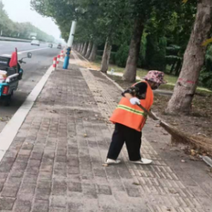 全面清理落叶，确保道路干净整洁