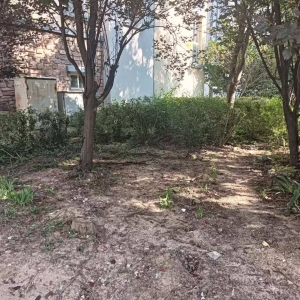 平度市东阁街道执法中队整治占绿毁绿，守护城市绿色空间