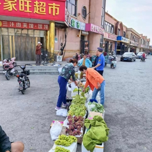 整治街面秩序 提高环境保护意识