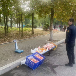 平度市东阁街道执法中队抓实信用体系建设，让城市管理更有温度 ...