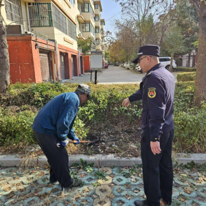 整治擅自破坏绿化行为，共建绿色家园
