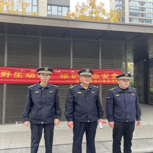 保护野生动物,倡导人与自然和谐共生理念