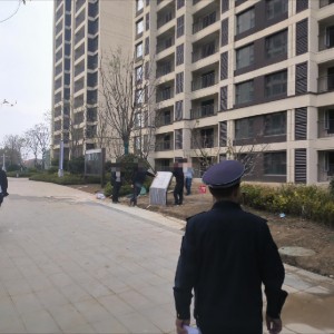 凤台执法中队：绿化执法，让小区重焕生机