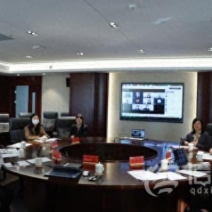 教育部涉外法治课程虚拟教研室第二次共同教学会议暨“涉外法治人才培养方案设计与课程体系建设”研讨会成功举办