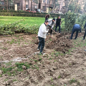 整治小区侵占公共绿地行为 共护和谐宜居家园