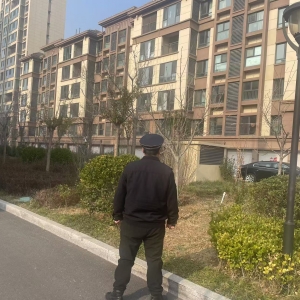 平度市东阁街道执法中队紧盯群众“急难愁盼”，集中整治占绿毁绿 ...