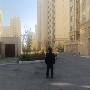 同和执法中队“守绿护绿”进行时