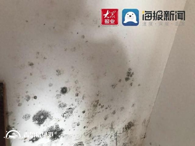 插座漏水墙皮脱落，领秀珊瑚湾新房质量堪忧