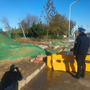 加大执法力度，打击擅自毁绿行为，切实保护城市绿地