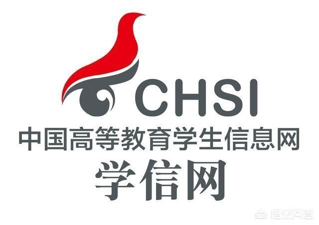 假学历也可以上学信网吗