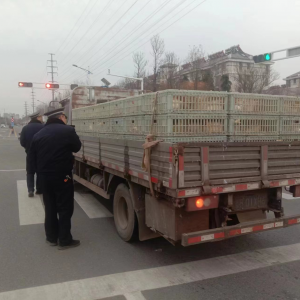 李园街道综合行政执法中队组织开展动物调运执法检查行动