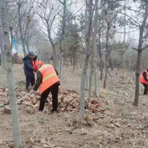 及时清理路面积土，营造干净整洁的宜居环境