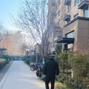 平度市东阁街道执法中队严打占绿毁绿，共建绿色家园