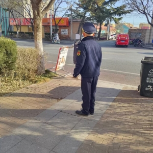 聚焦广告治理，下足“绣花功夫”全力推进市容秩序提升
