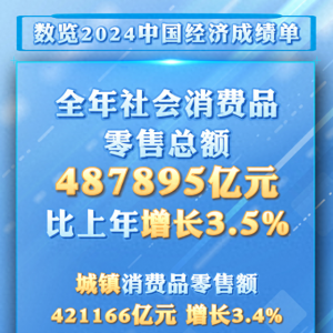 从2024消费数据看我国超大规模市场潜力与优势