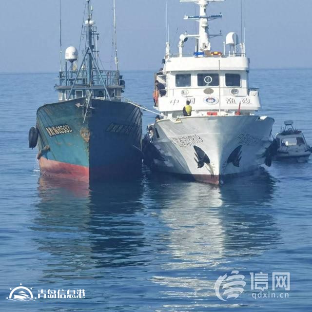 青岛市海洋局开展海陆联动执法 严查涉渔领域违法行为