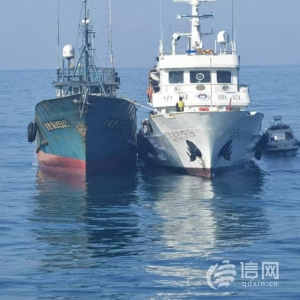 青岛市海洋局开展海陆联动执法 严查涉渔领域违法行为