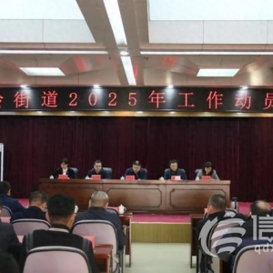 金家岭街道召开2025年工作动员大会