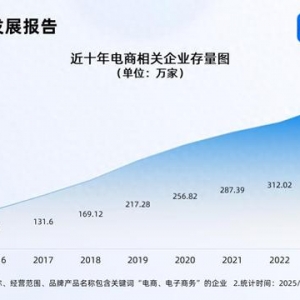 年货节成绩单亮眼 国内电商相关企业存量破380万家