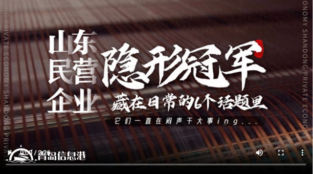 这些“隐形大佬”都是山东民营企业