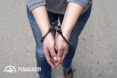 8000多人受骗的哈尔滨“中国信网”诈骗案告破