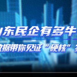 山东民企有多牛？一组数据带你见证“硬核”实力