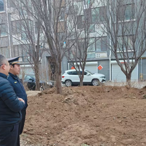 平度市东阁街道执法中队“信用+”整治占绿毁绿，守护绿色家园 ...