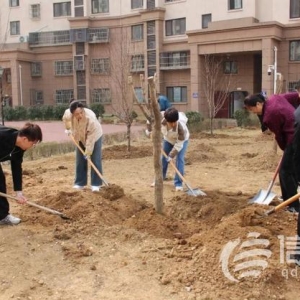 崂山区金家岭街道举办2025年义务植树活动 共绘生态梦