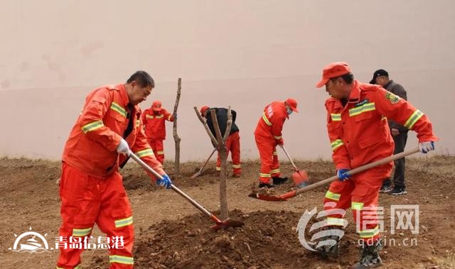 崂山区金家岭街道举办2025年义务植树活动 共绘生态梦