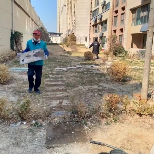 城市绿洲的守护者直击占绿 毁绿执法巡查一线