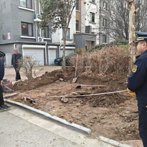 平度市东阁街道执法中队整治占绿毁绿，筑牢城市生态屏障